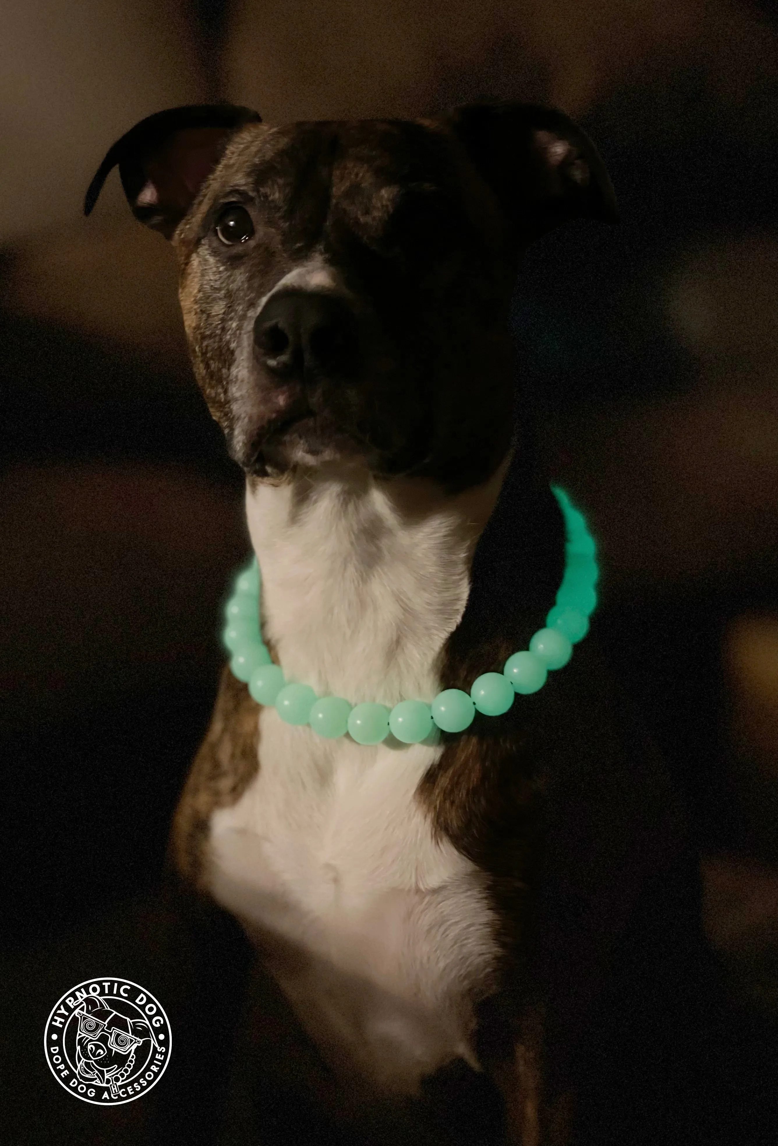 🟧 18" Slip On (Rose Gold O-Ring) Glow in the Dark Acrylic Bead Collar - PRE-MADE/FINAL SALE