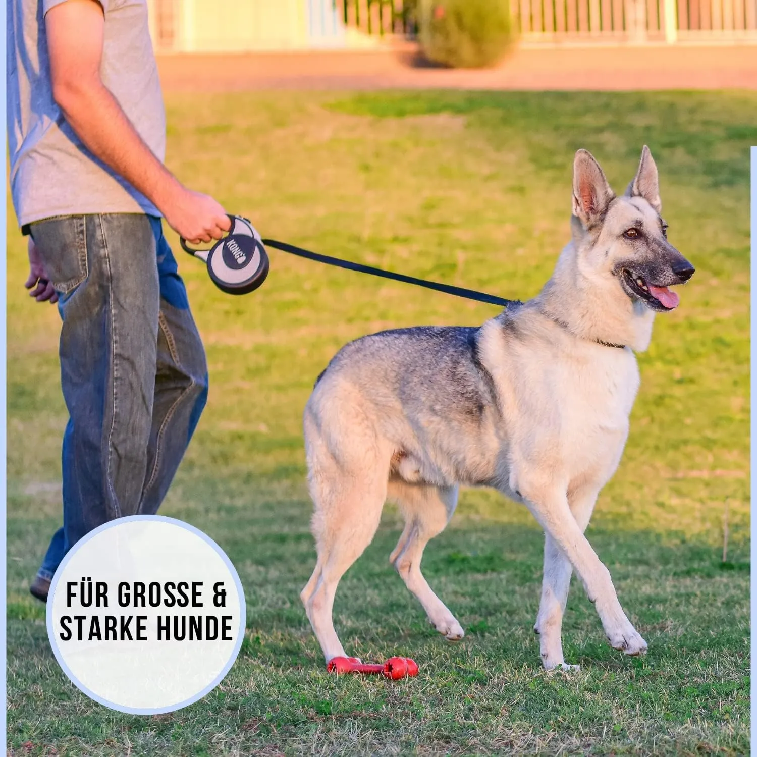 Alcott Kong Ultimate Retractable Dog Leash, Extra Large, Blue, 16' Long