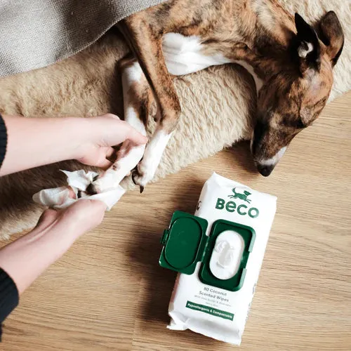 Beco Bamboo Dog Wipes - Coconut Scent