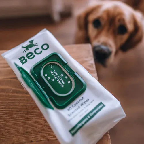 Beco Bamboo Dog Wipes - Coconut Scent