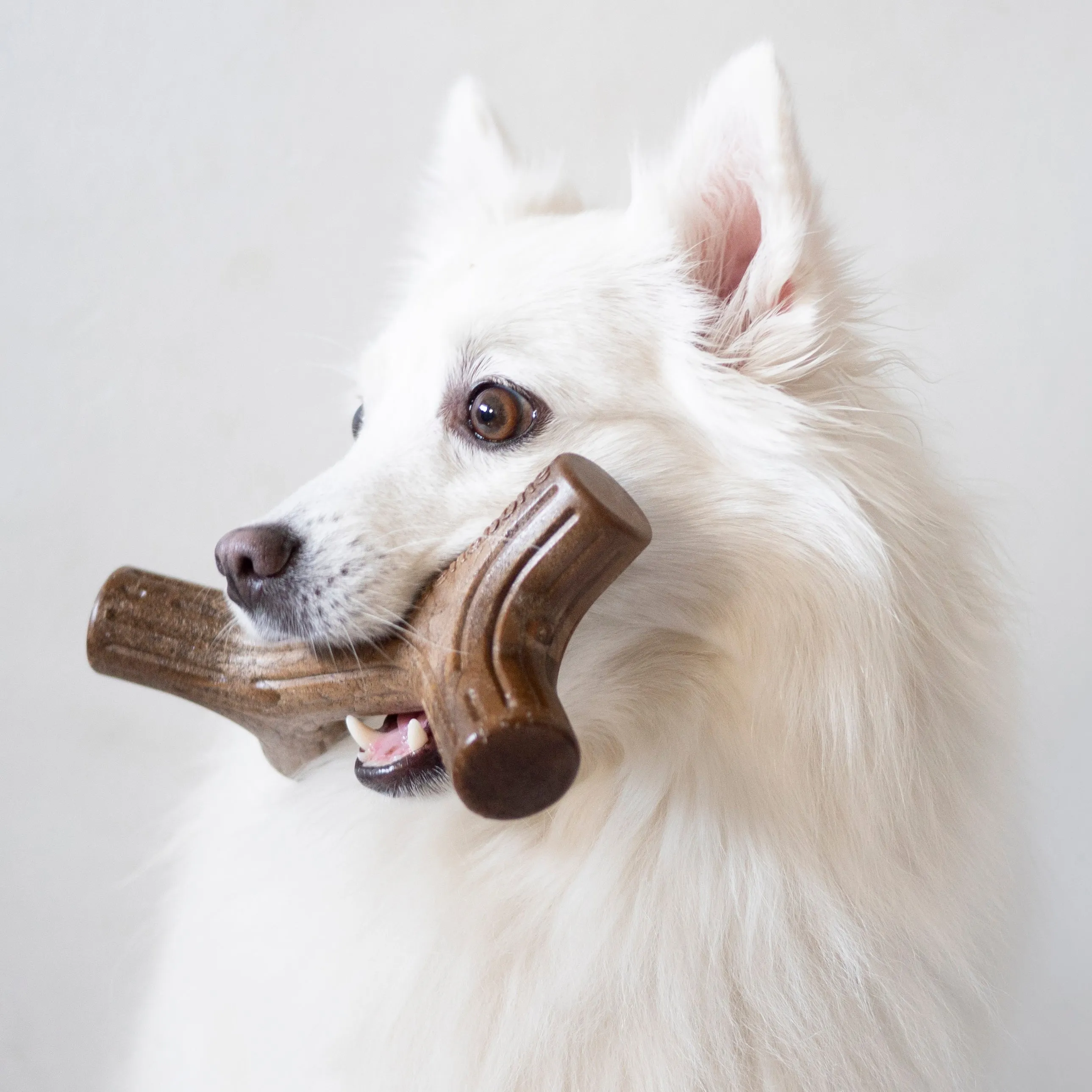 Benebone Bacon Stick Dog Toy