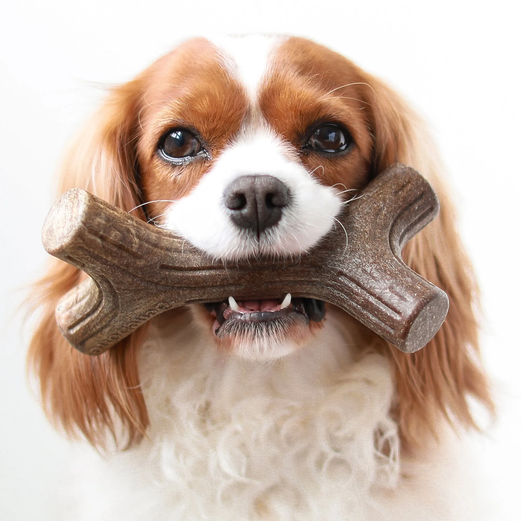 Benebone Bacon Stick Dog Toy