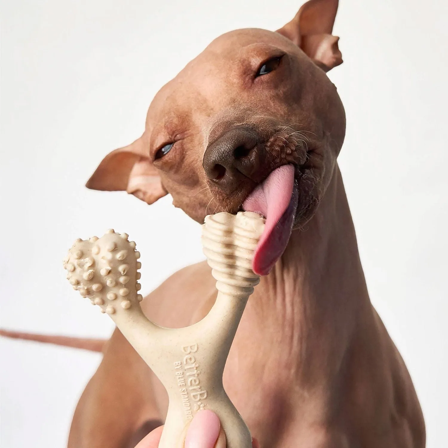 Betterbone Medium, Classic
