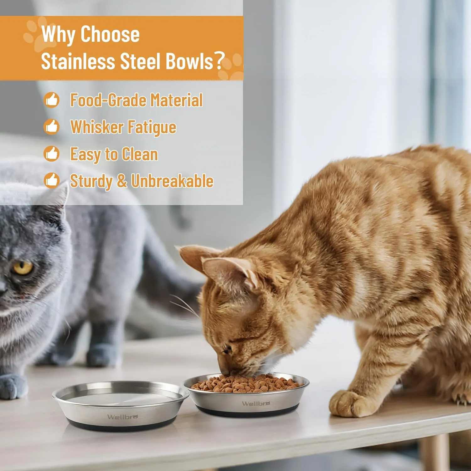 Cat Bowls, 2 Pcs Stainless Steel Cat Bowls for Food and Water, Whisker Fatigue Shallow Non-Slip Dishes Plates for Small Dog Puppies Cats