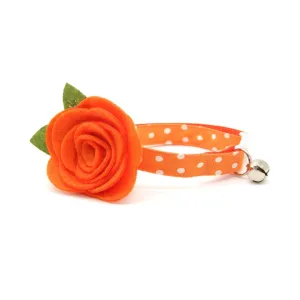 Cat Collar   Flower Set - "Polka Dot - Orange" - Glow In The Dark Cat Collar w/ Pumpkin Felt Flower (Detachable)
