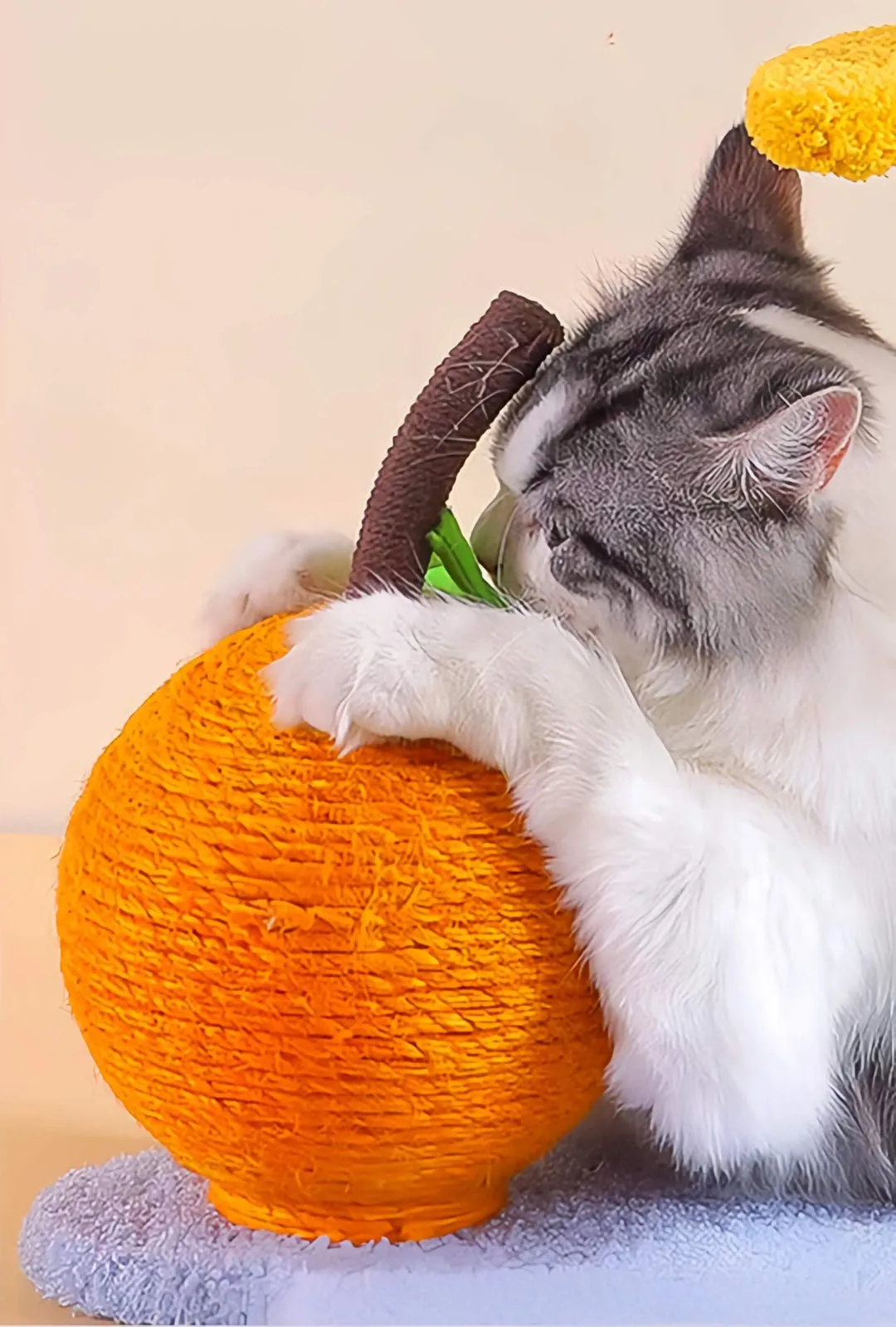 Colourful Cat Climbing Frame With Scratching Post