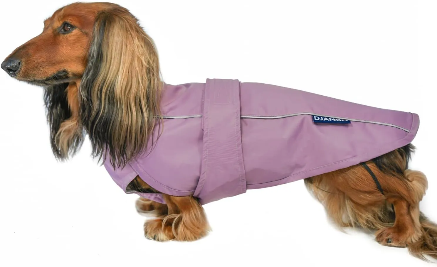 DJANGO City Slicker Waterproof Dog Raincoat and Lightweight Jacket for Long Dogs - Full Coverage Puppy Coat and Reflective Rain Slicker and Windbreaker - Adjustable with Harness Hole (Purple, Medium)