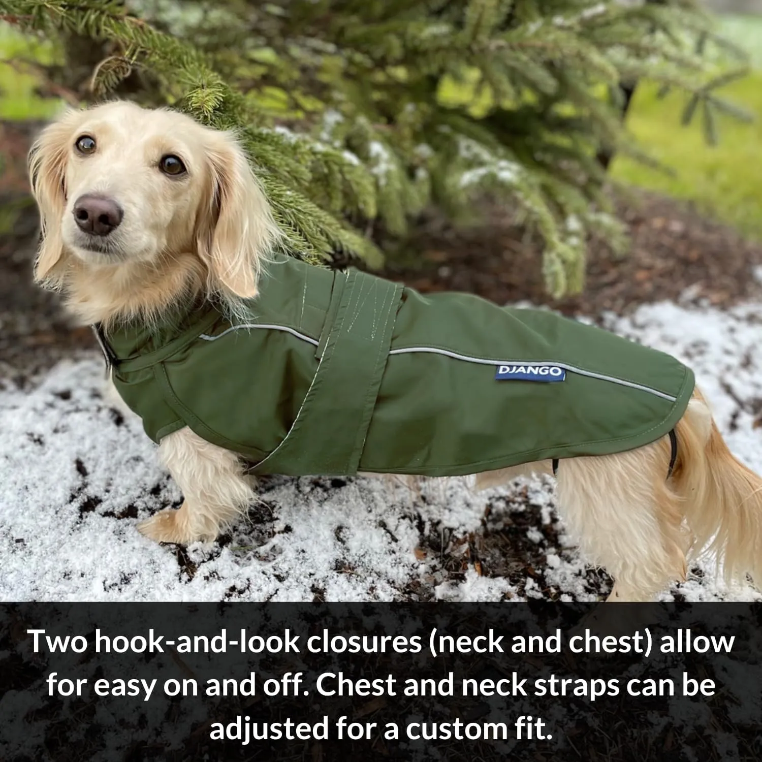 DJANGO City Slicker Waterproof Dog Raincoat and Lightweight Jacket for Long Dogs - Full Coverage Puppy Coat and Reflective Rain Slicker and Windbreaker - Adjustable with Harness Hole (Purple, Medium)