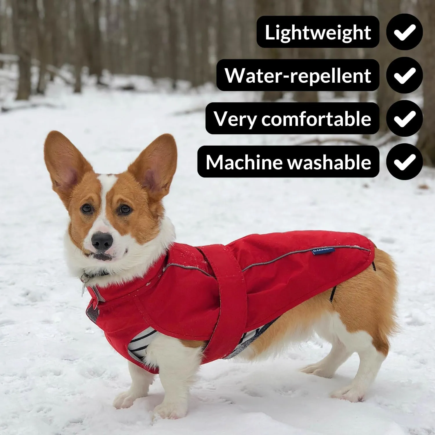DJANGO City Slicker Waterproof Dog Raincoat and Lightweight Jacket for Long Dogs - Full Coverage Puppy Coat and Reflective Rain Slicker and Windbreaker - Adjustable with Harness Hole (Purple, Medium)