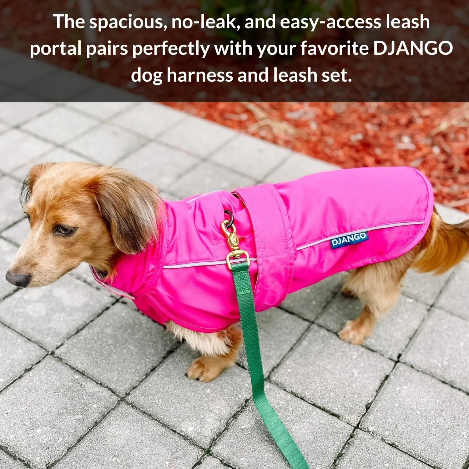 DJANGO City Slicker Waterproof Dog Raincoat and Lightweight Jacket for Long Dogs - Full Coverage Puppy Coat and Reflective Rain Slicker and Windbreaker - Adjustable with Harness Hole (Purple, Medium)