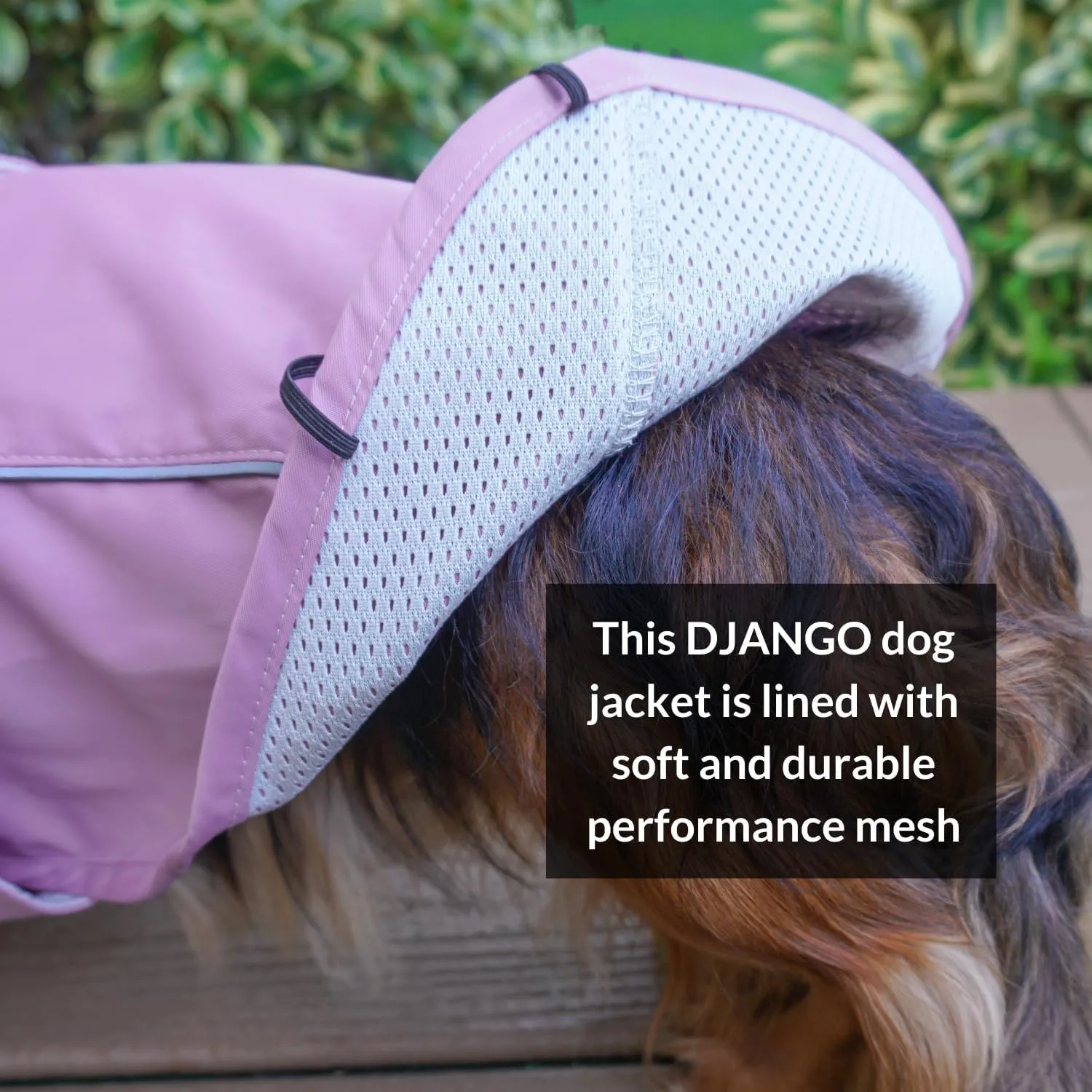 DJANGO City Slicker Waterproof Dog Raincoat and Lightweight Jacket for Long Dogs - Full Coverage Puppy Coat and Reflective Rain Slicker and Windbreaker - Adjustable with Harness Hole (Purple, Medium)