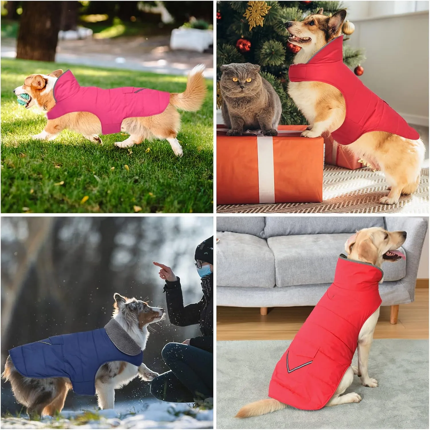 Dog Coat - Waterproof Winter Jacket with Pocket, Reflective Adjustable Snow Vest, Warm Cozy Fleece Sweater for Small to Extra Large Dogs - Red, XS