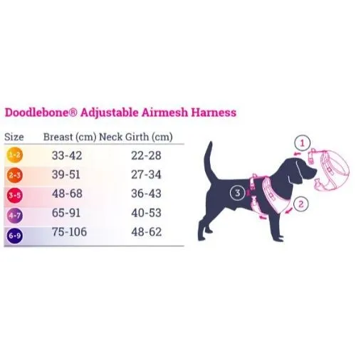 Doodlebone Adjustable Airmesh Pattern Dog Harness Teal Stars Glow in the Dark Size 3-5
