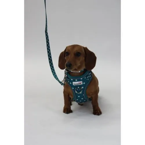Doodlebone Adjustable Airmesh Pattern Dog Harness Teal Stars Glow in the Dark Size 3-5