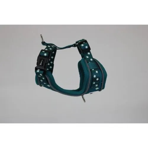 Doodlebone Adjustable Airmesh Pattern Dog Harness Teal Stars Glow in the Dark Size 3-5