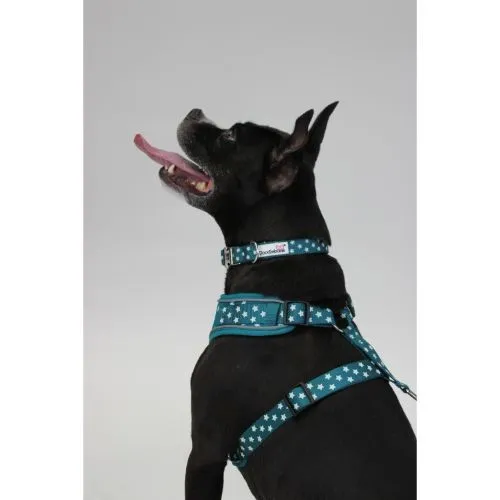 Doodlebone Adjustable Airmesh Pattern Dog Harness Teal Stars Glow in the Dark Size 3-5