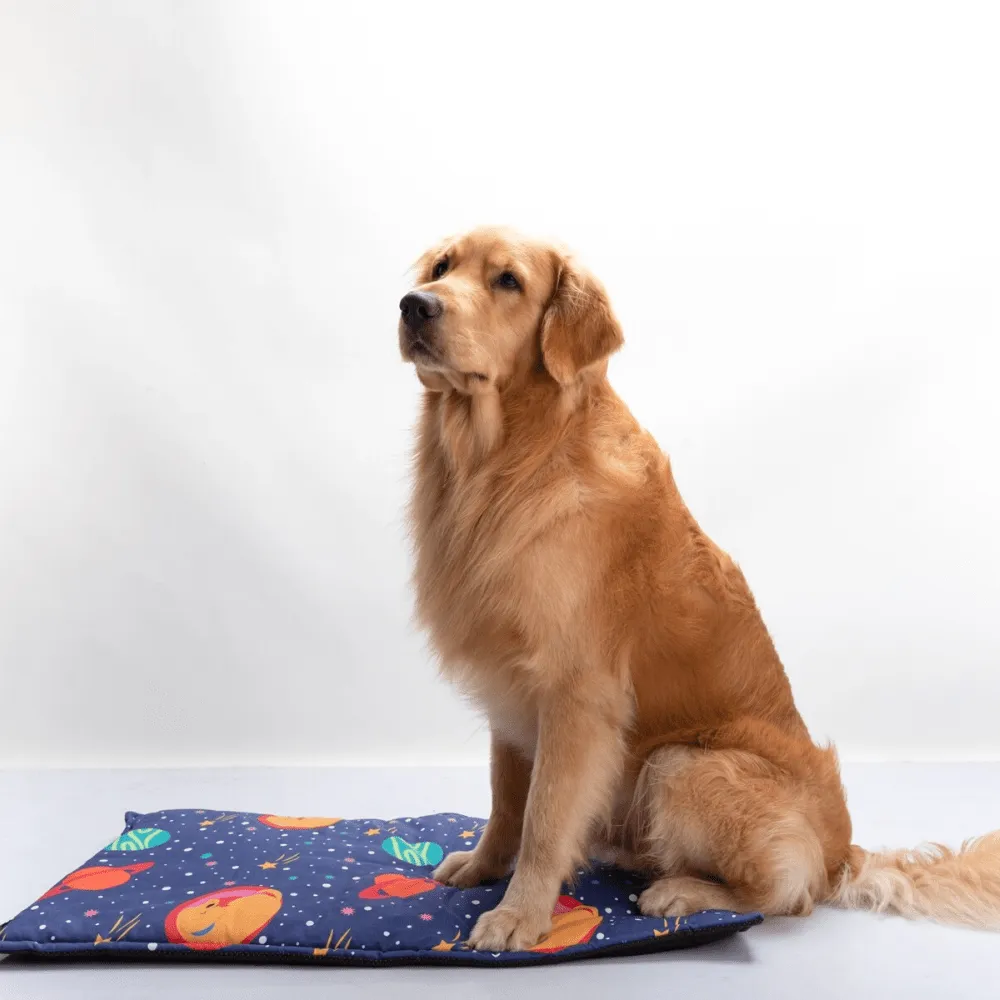 FurBuddies Space Mat for Dogs and Cats