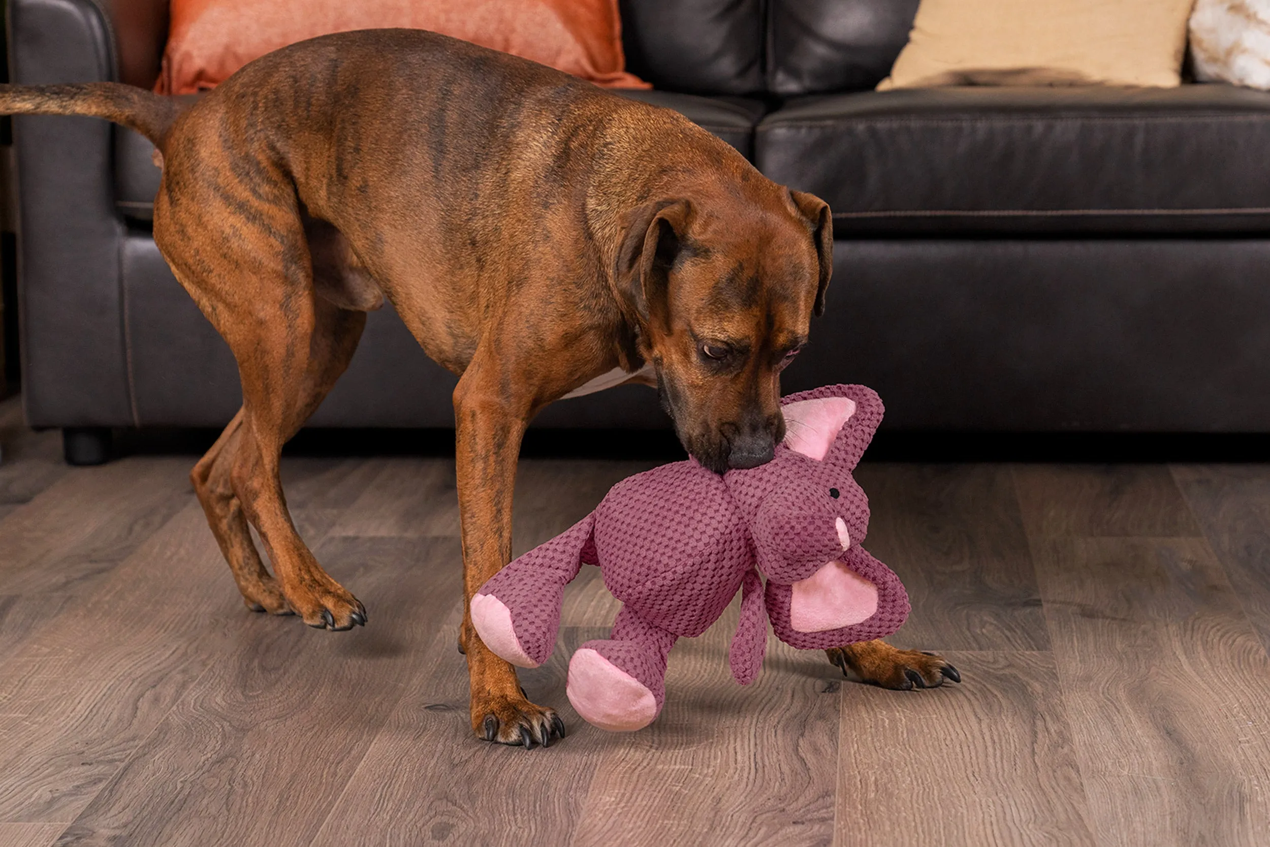 goDog - Checkers Elephant Squeaky Plush Dog Toys with Chew Guard Technology