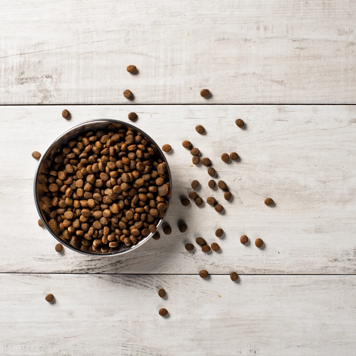Grain Free Beef Recipe