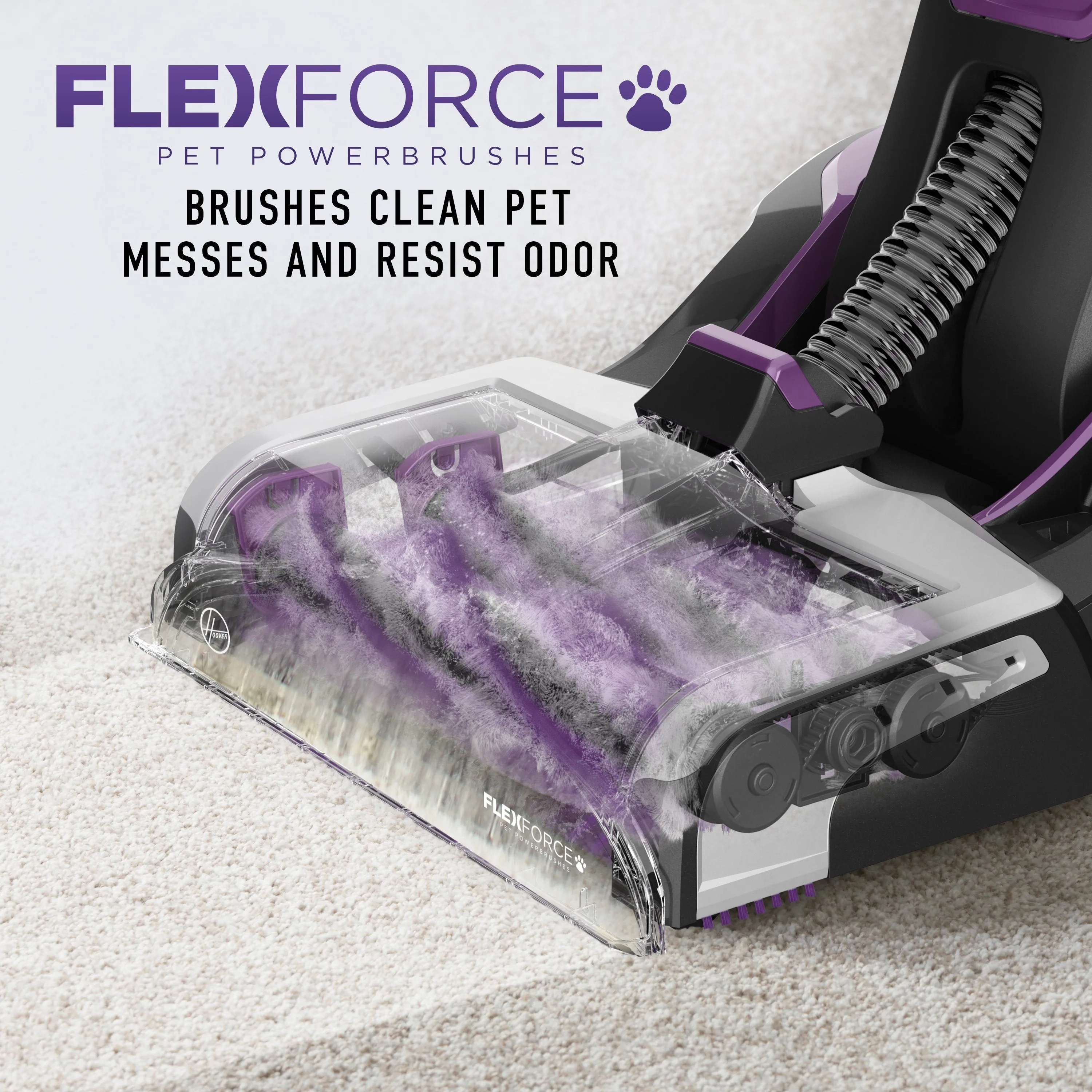 Hoover SmartWash Pet Carpet Cleaner (Refurbished)