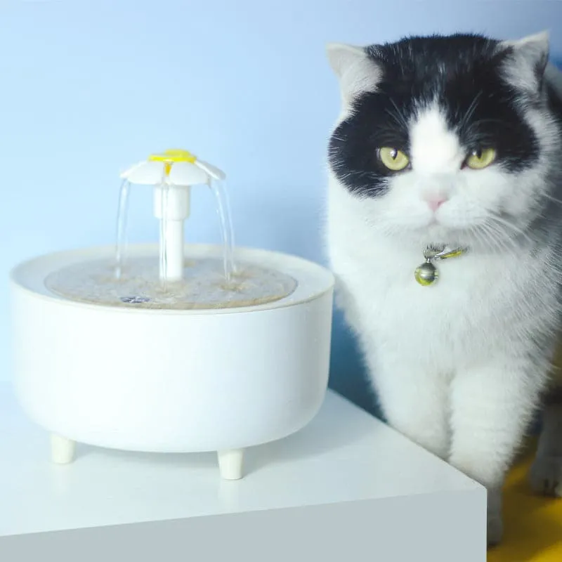 Intelligent Automatic Circulation Filter Pet Water Dispenser