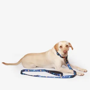 Jungle Collar   Leash Set