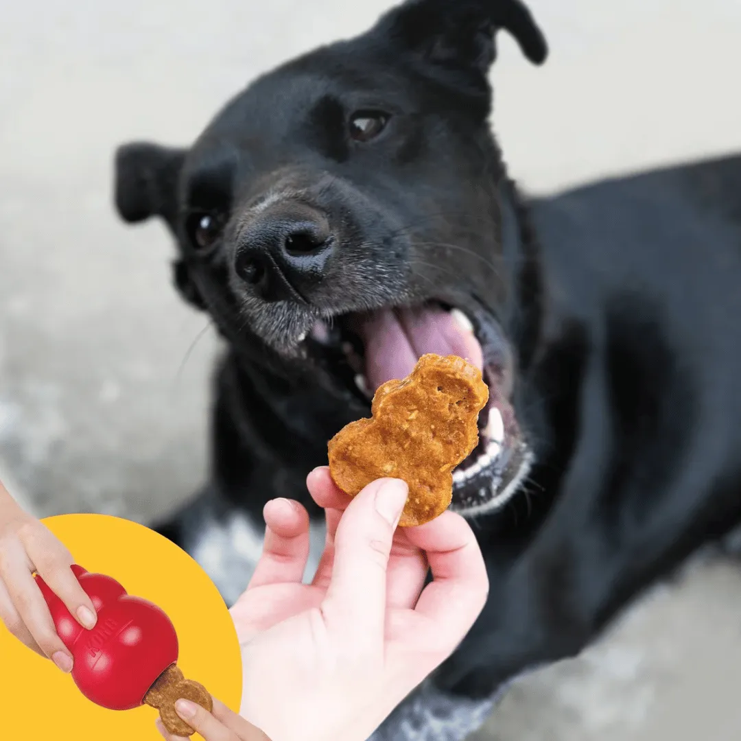 Kong Jerky Chicken Dog Treat
