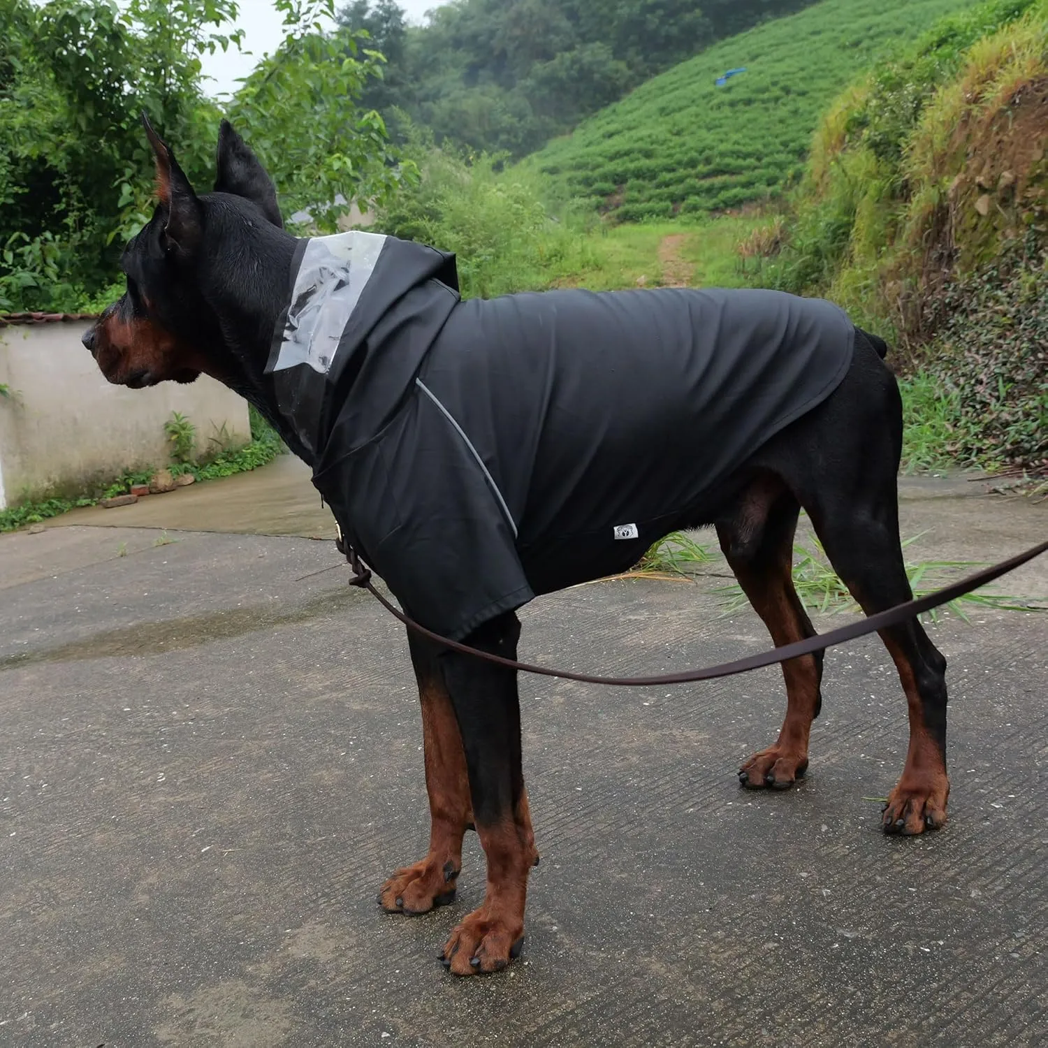 LoveLonglong Premium Waterproof Dog Raincoat with Reflective Safety Features Pet Raincoats for Large Medium Small Dogs Black XL