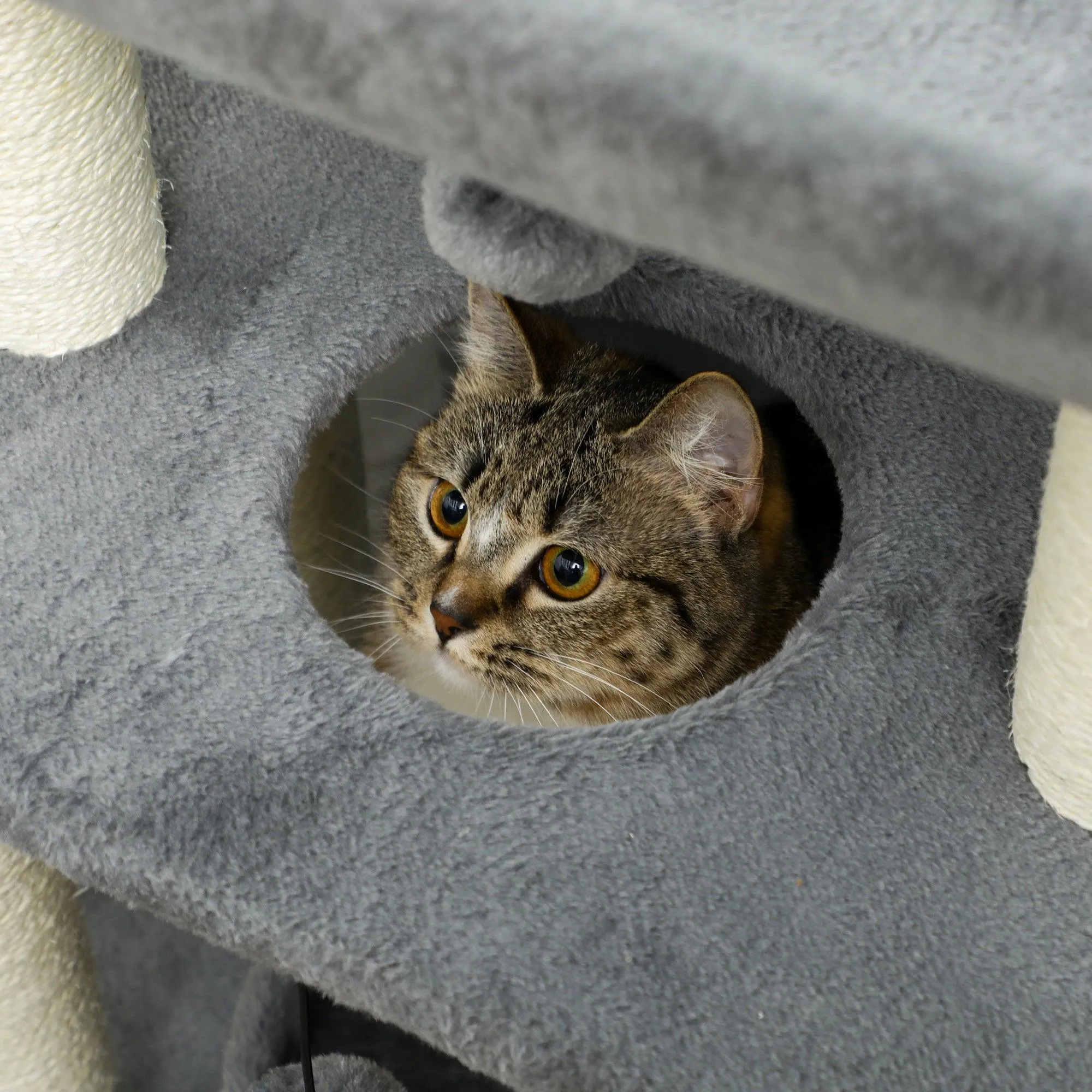 Multi-Level Cat Tree Tower w/ Bed, Perch, Toy Ball, 76cm - Grey