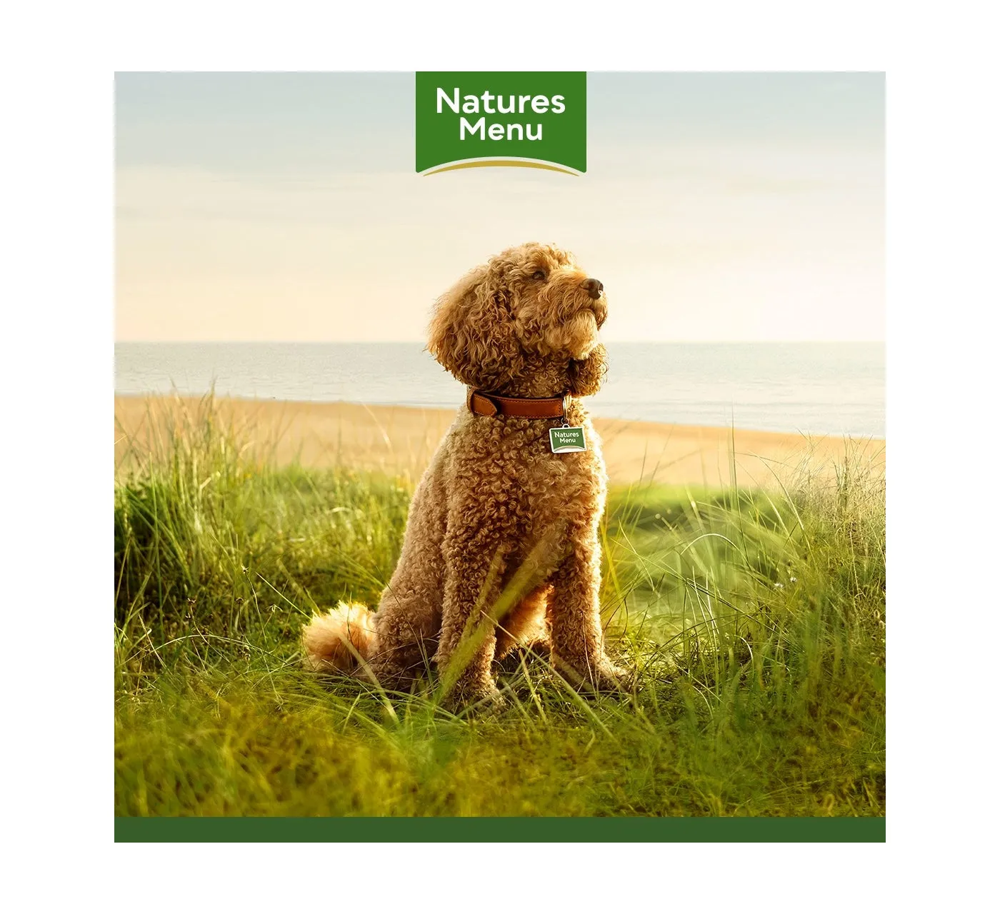 Natures Menu - Country Hunter Salmon & Chicken with Superfoods - 600g