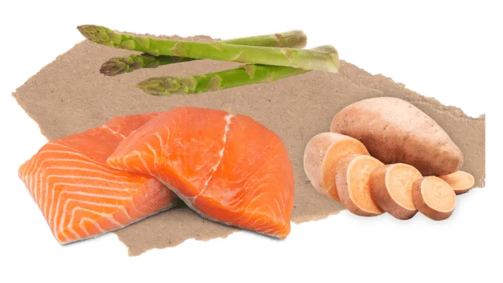 Nourish Rite Small Breed Grain Free Dog Food - Salmon