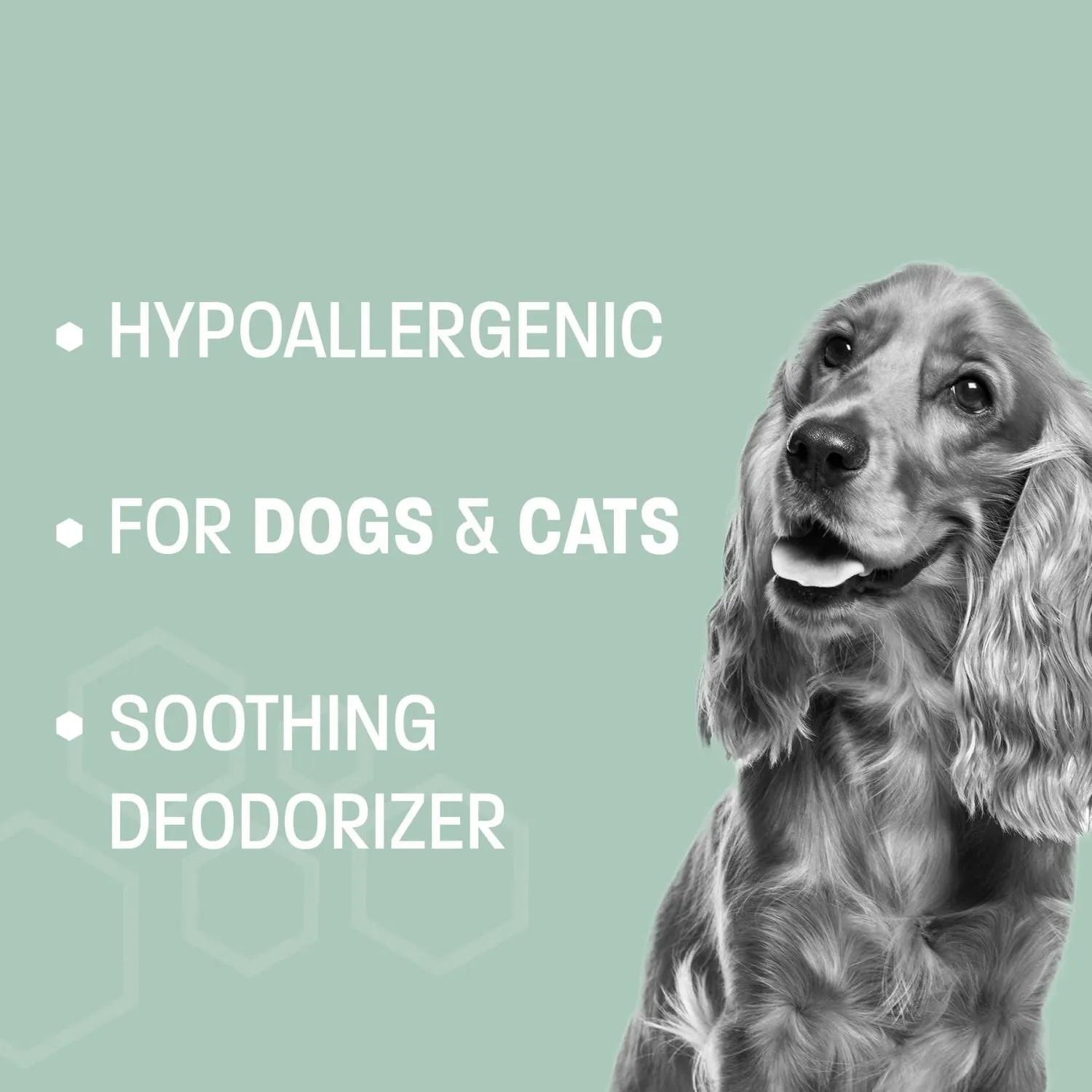 Pet Health Pros Aloe & Oatmeal Pet Cleaning Wipes With Hypoallergenic; Soothing Component; Size: Large; Scent: Pina Colada.
