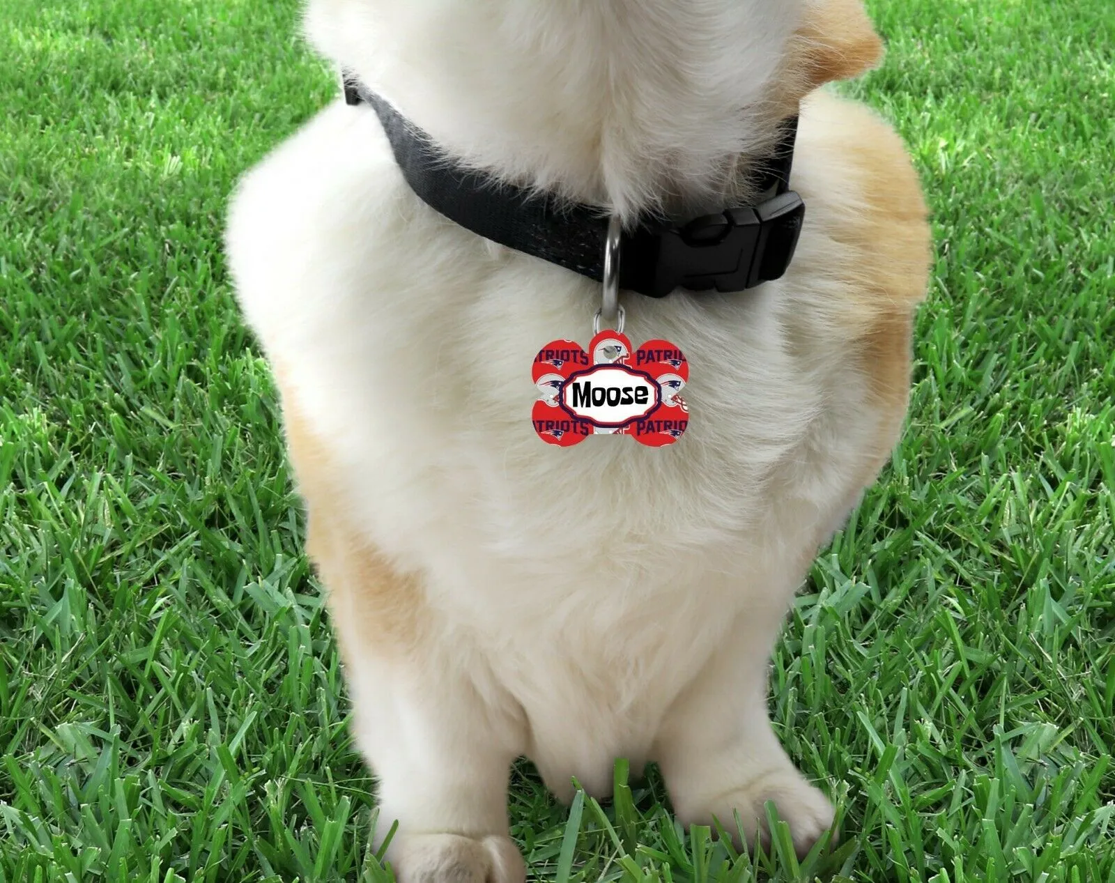 Pet ID Tag New England Patriots NFL Personalized Custom Double Sided Pet Tag Petcollarshandmade