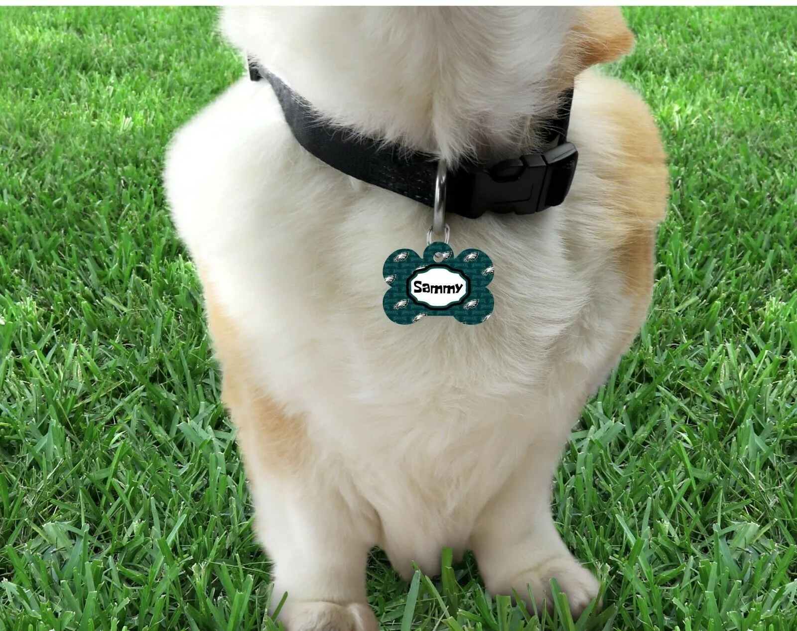Pet ID Tag Phila Eagles NFL Personalized Custom Double Sided Pet Tag w/name Petcollarshandmade
