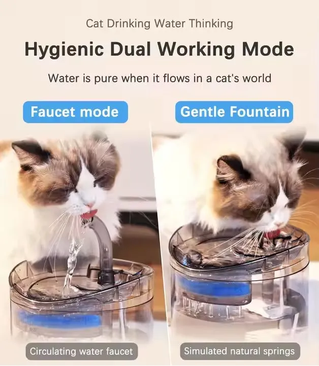 Pet Water Dispenser Automatic Circulation