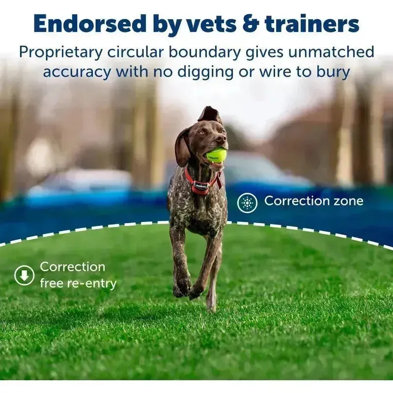 PetSafe Stay & Play Wireless Fence for Stubborn Dogs