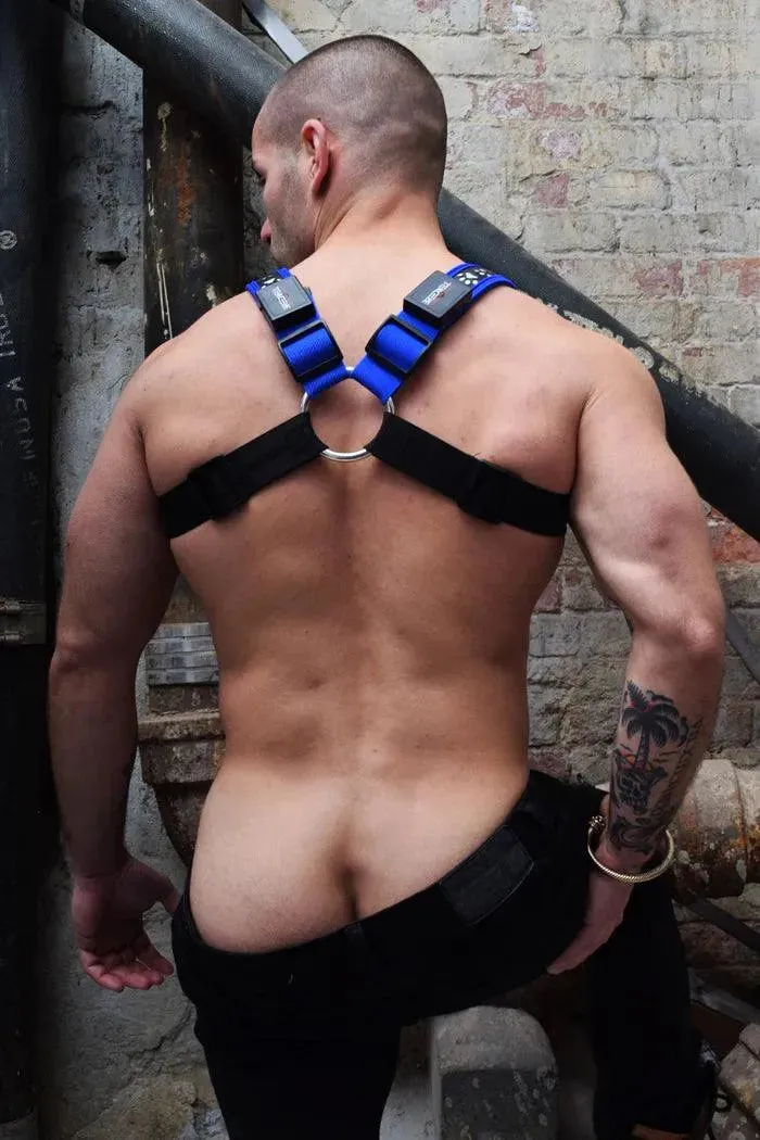 Poundtown Bulldog Harness BLUE