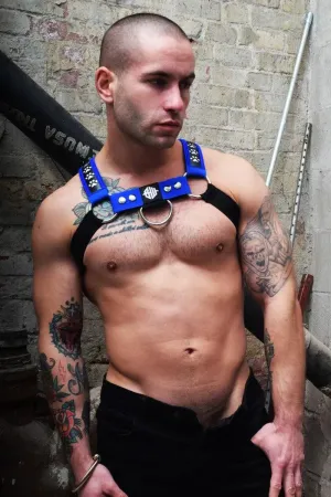 Poundtown Bulldog Harness BLUE