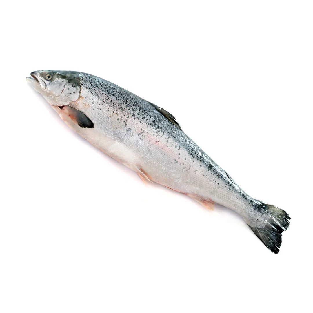 Sana Air Dried Salmon