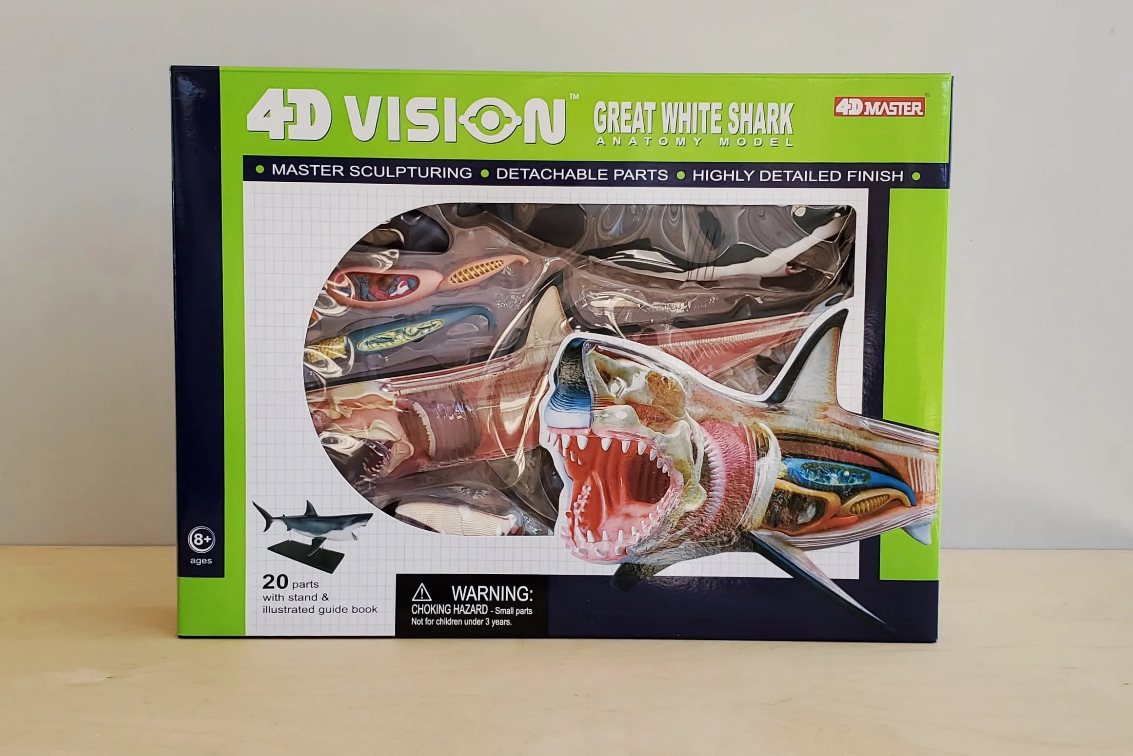 Shark Anatomy Model 4D