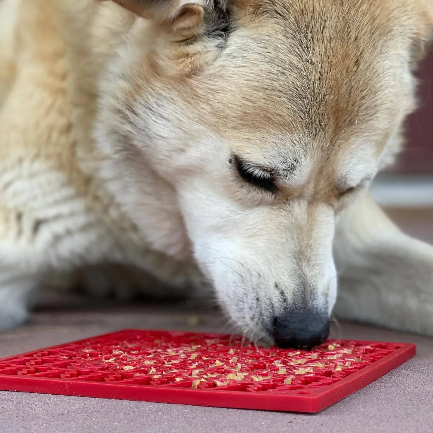 Sodapup Enrichment Lick Mat - Tree Design
