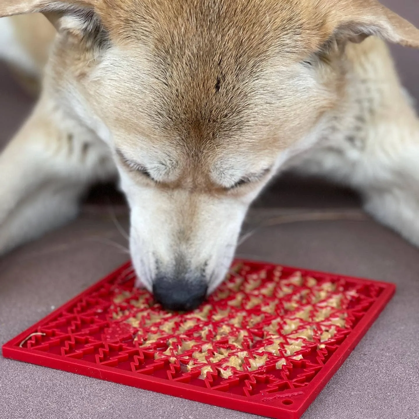 Sodapup Enrichment Lick Mat - Tree Design