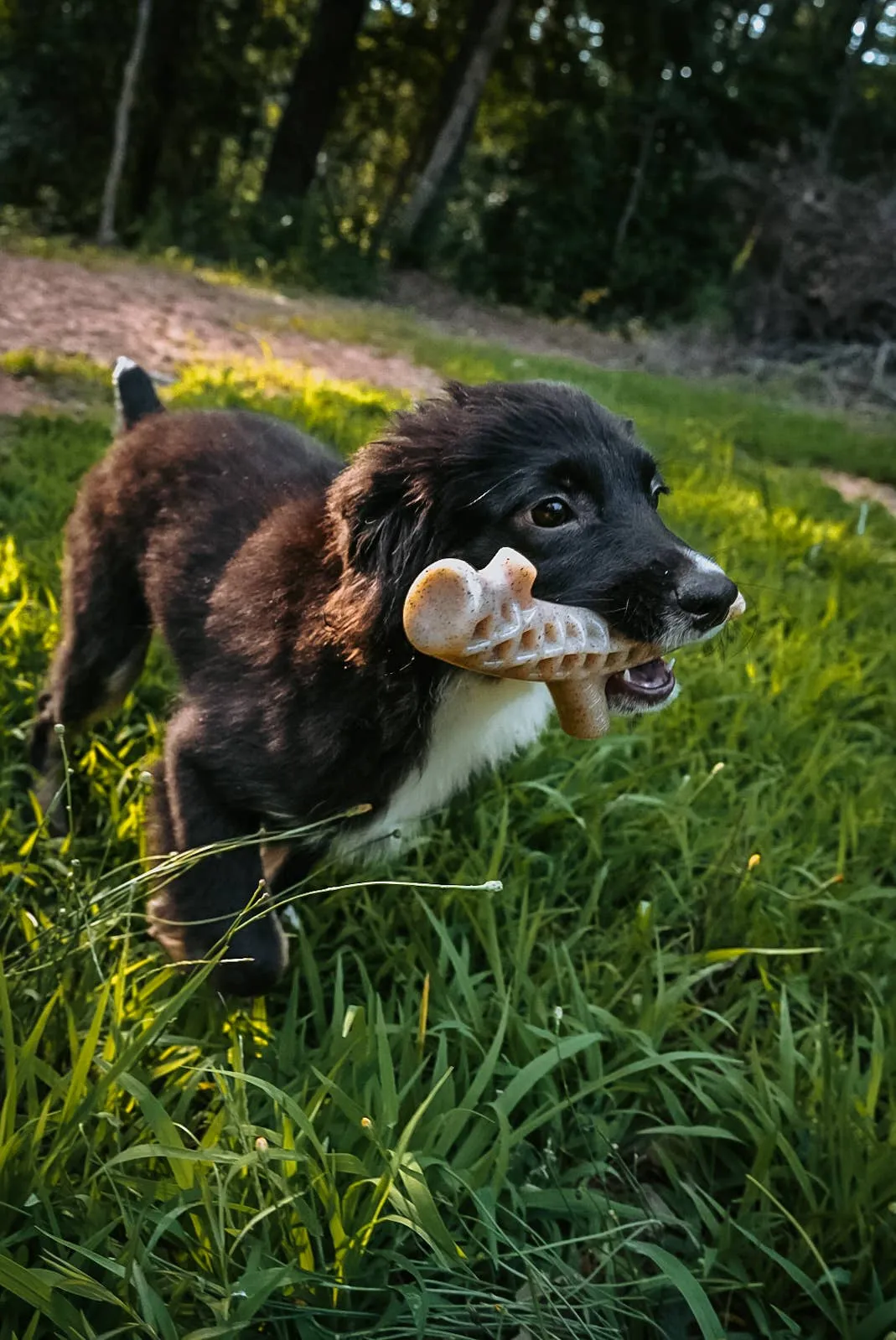 Spunky Pup - Hard Chew Nylon Antlers - Made in the USA - The Antler - Elk