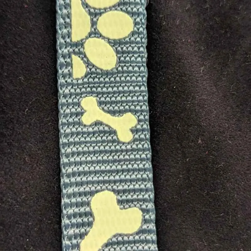 Sturdy Nylon Webbing, Glow in the Dark, Dark Dusty Mint