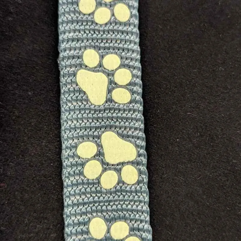 Sturdy Nylon Webbing, Glow in the Dark, Dark Dusty Mint