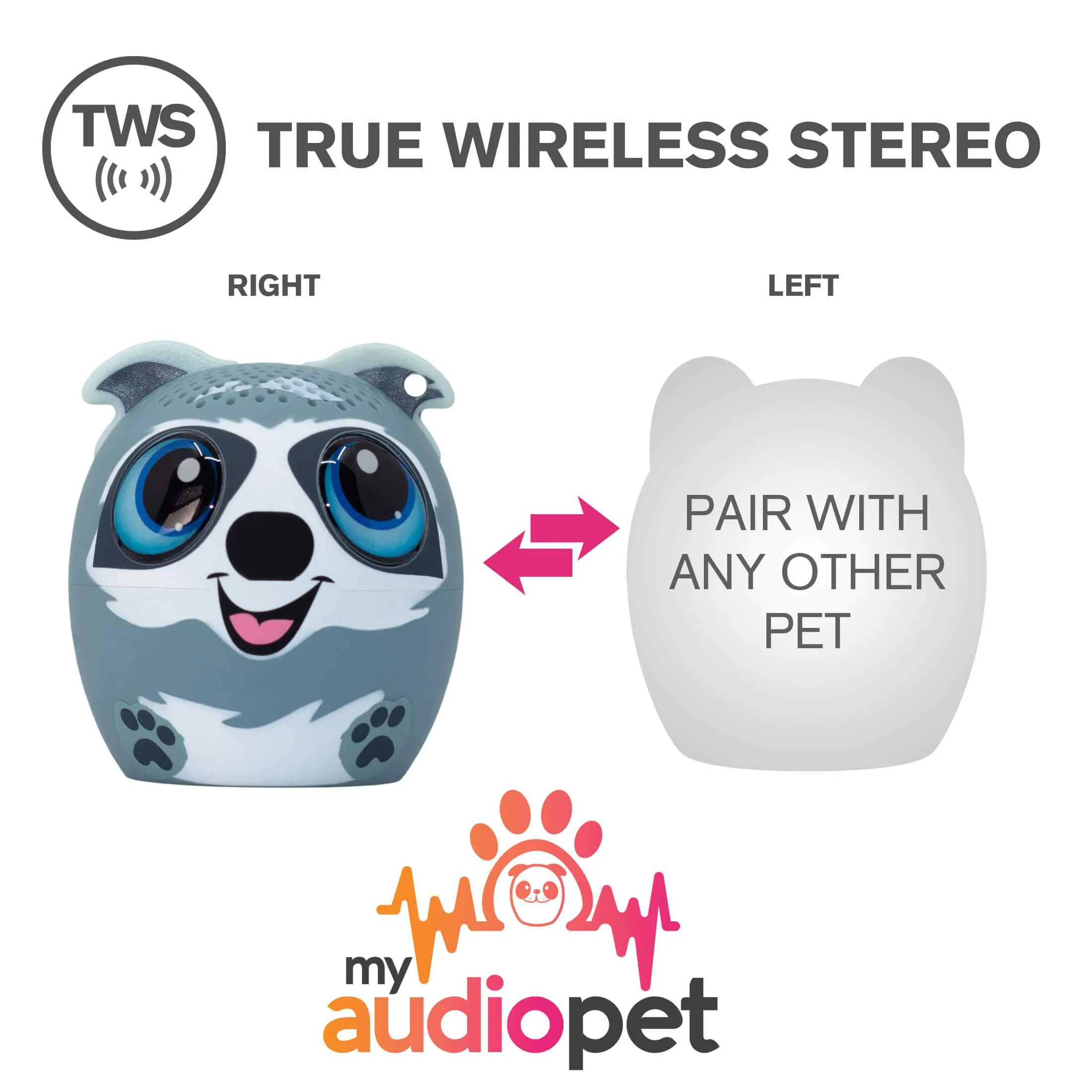 Treble Maker the Raccoon