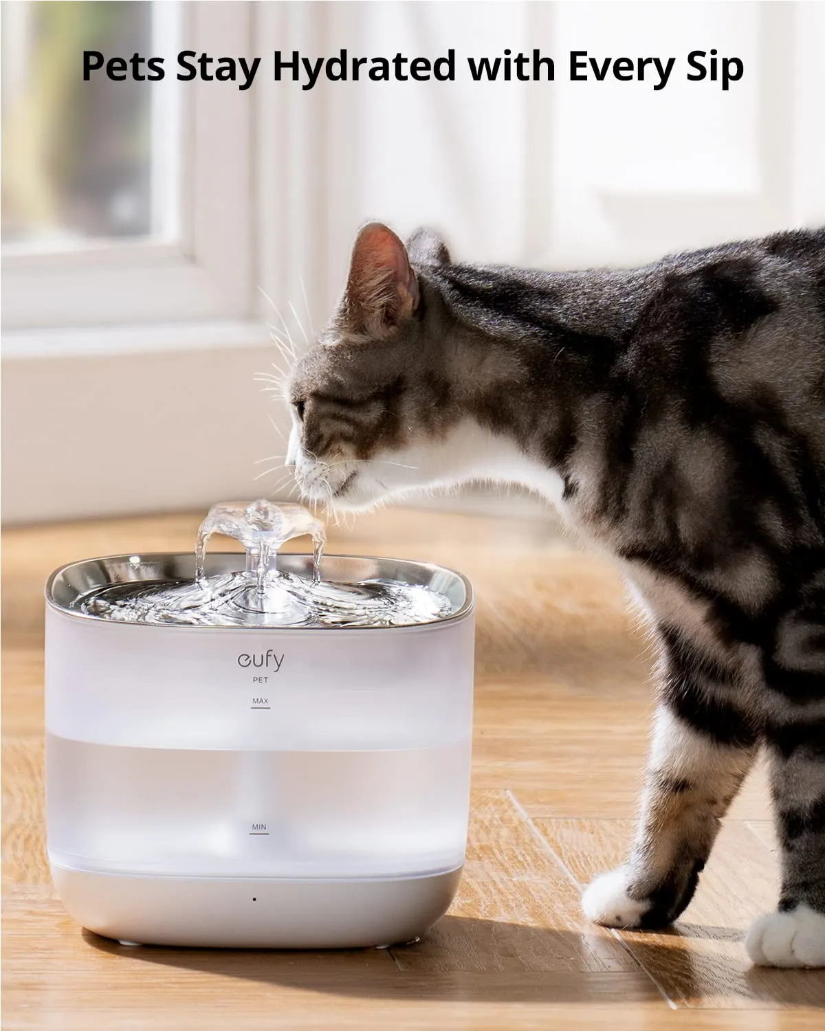 Water Fountain Filter Pack
