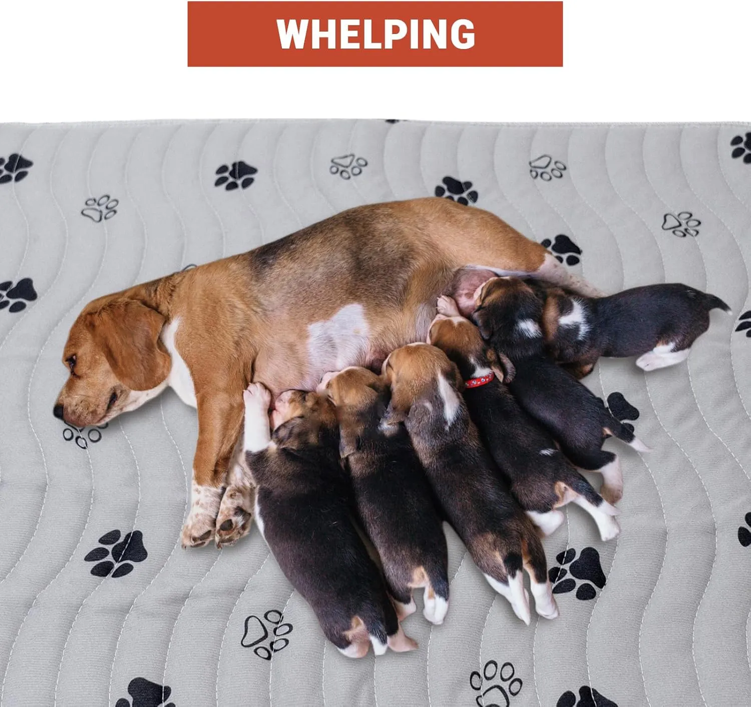 Waterproof Reusable Pets Training Pads Washable Pee Pads for Dogs with Leakproof Bottom, Puppy Pads for Potty Training (1 Pack, 72"x72")