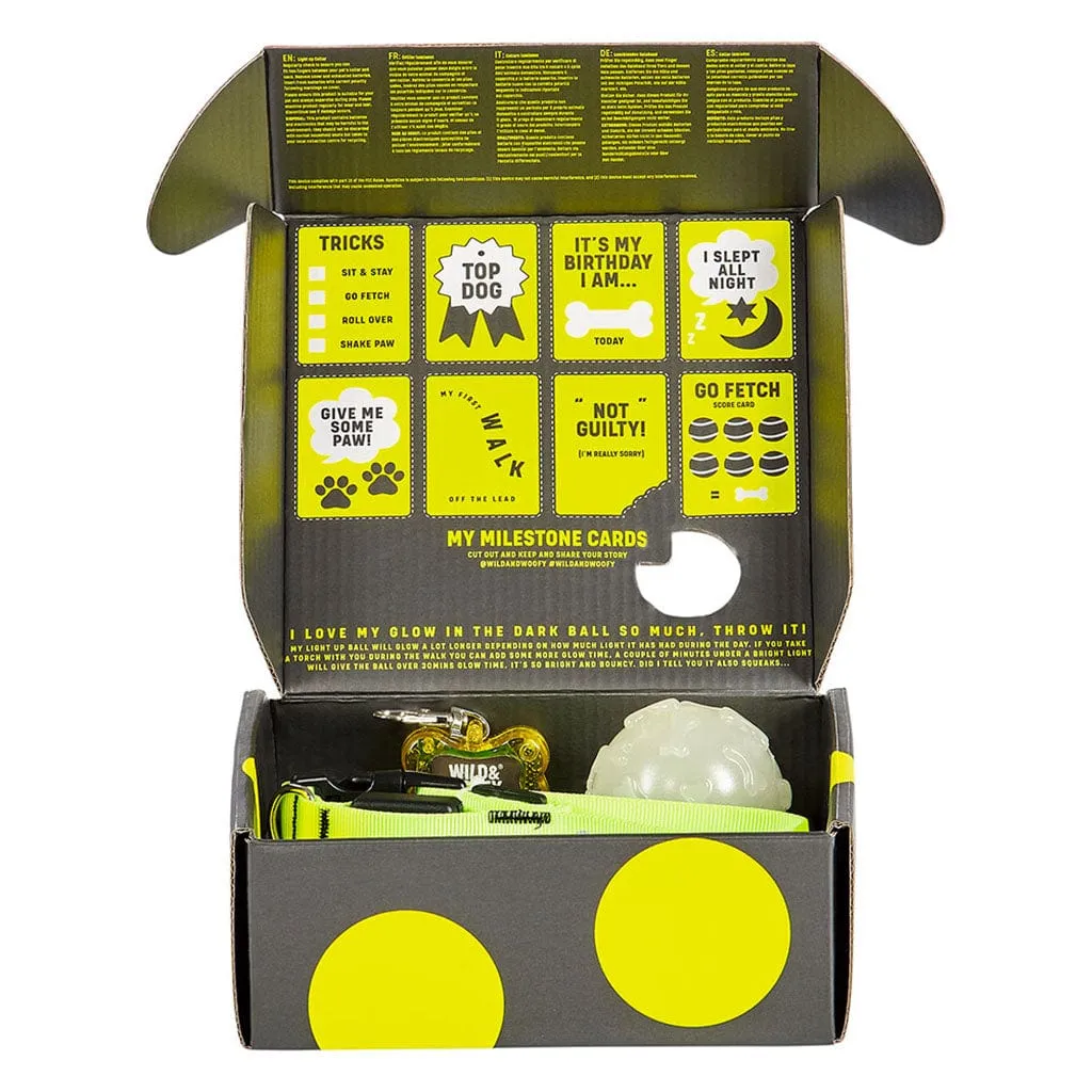 Wild & Woofy Spot Your Dog Kit